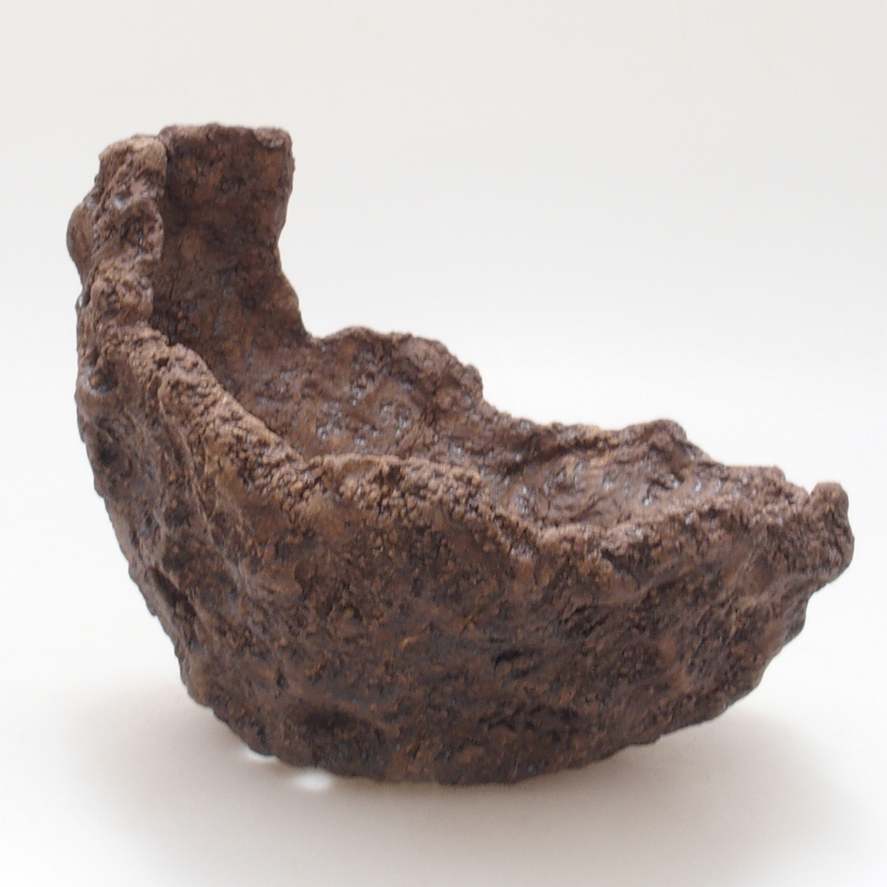 Ceramic shell 13 x 11 x 12 cm, brown color