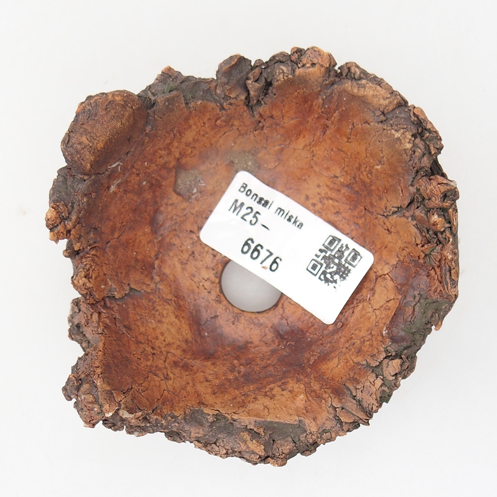 Ceramic Shell 9,5 x 8,5 x 5 cm , colour green