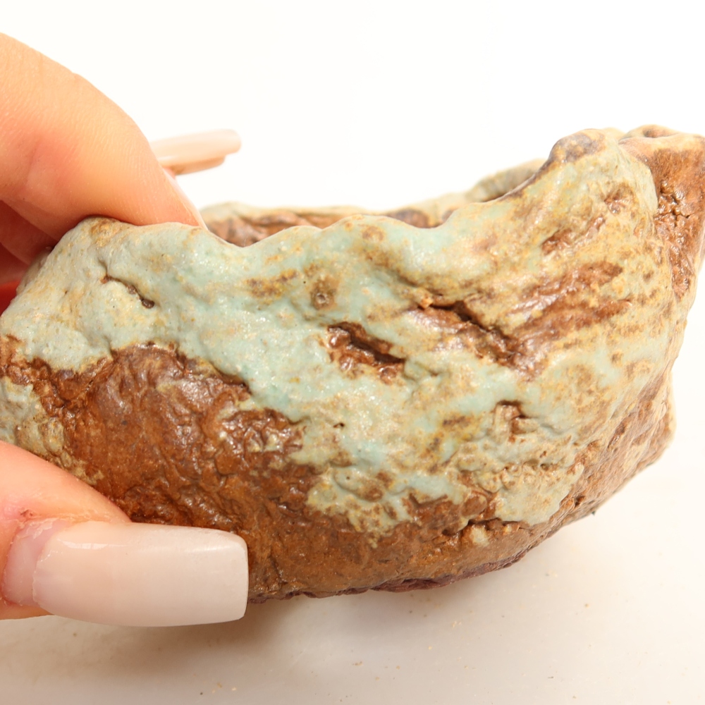 Ceramic Shell, 7.5 x 7.5 x 4.5 cm, green
