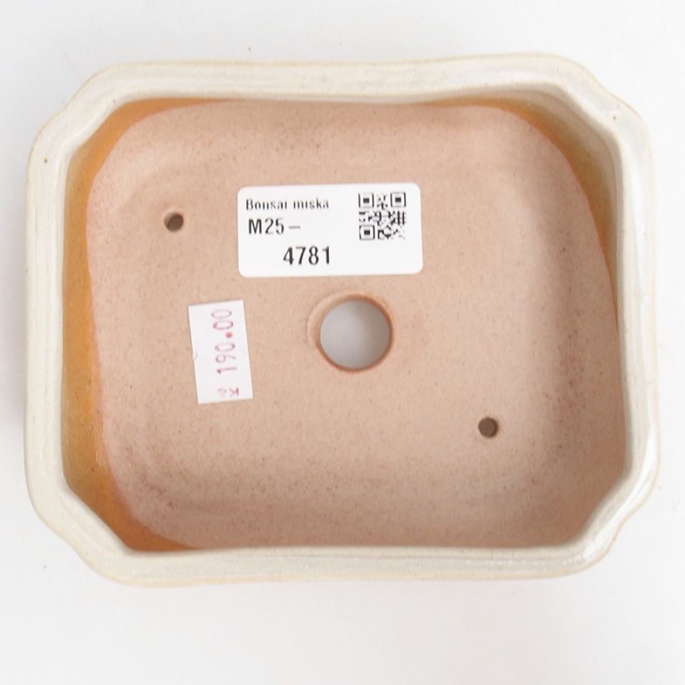 Ceramic bonsai bowl 12 x 10 x 4 cm, color beige
