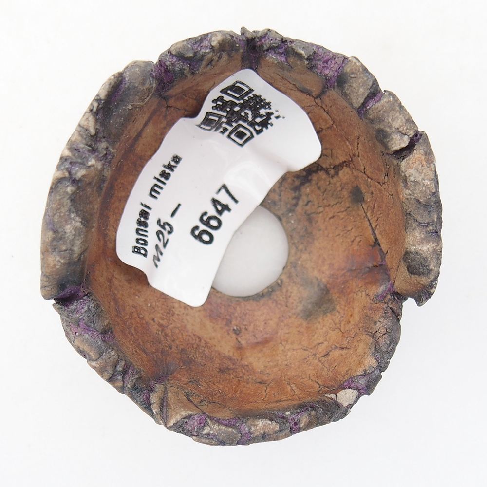Ceramic Shell 5,5 x 5 x 4 cm , colour purple