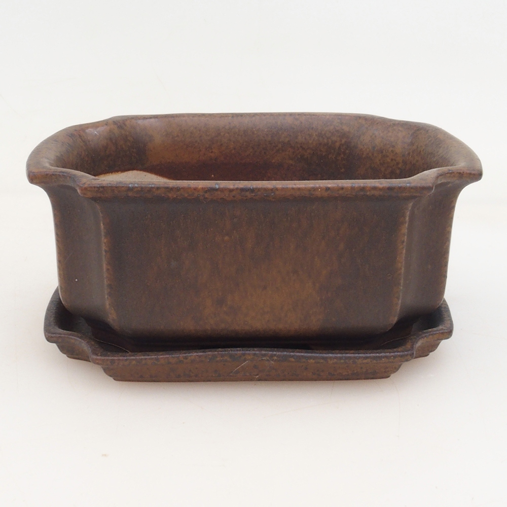 Bonsai bowl + saucer H01