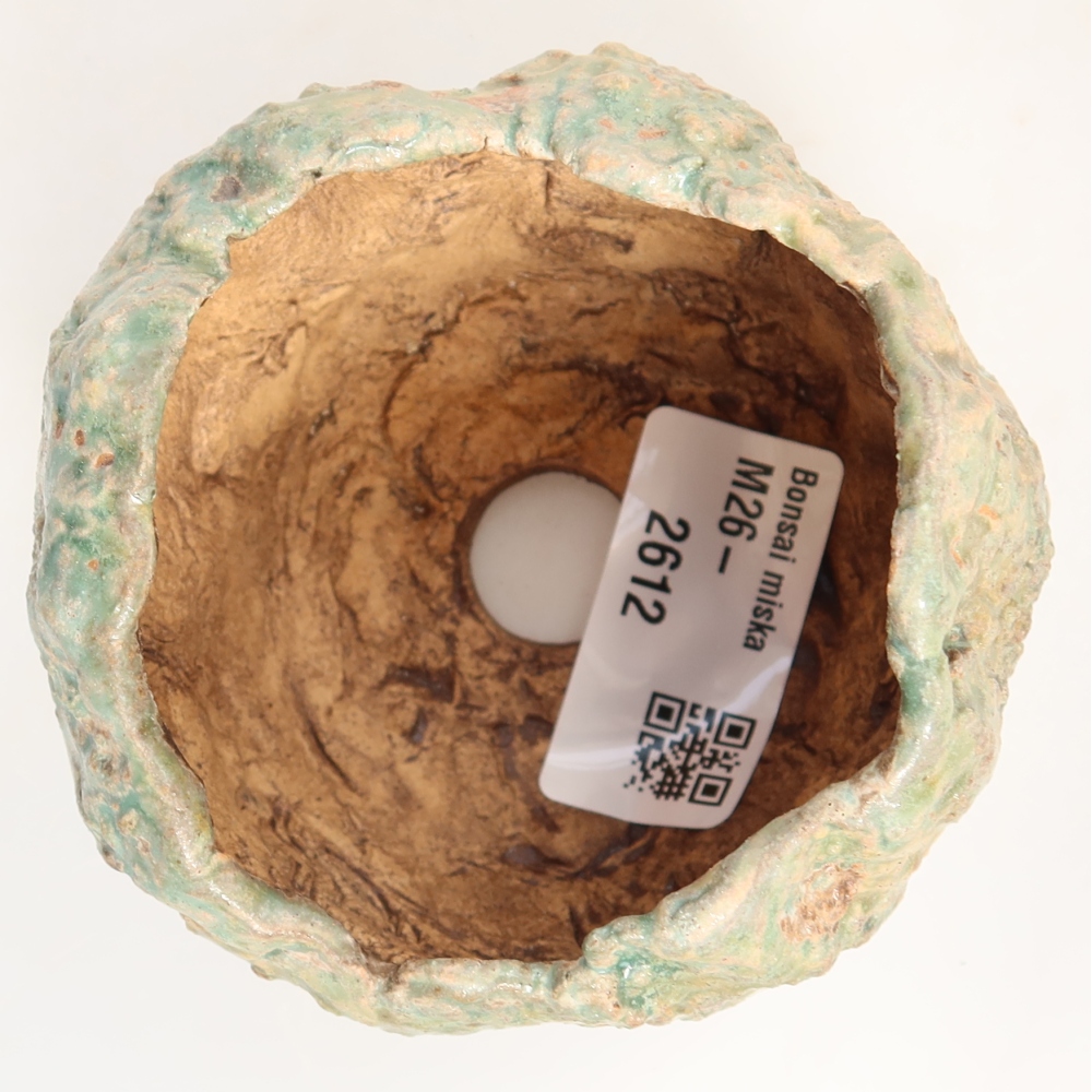 Ceramic Shell, 7.5 x 7 x 6.5 cm, green