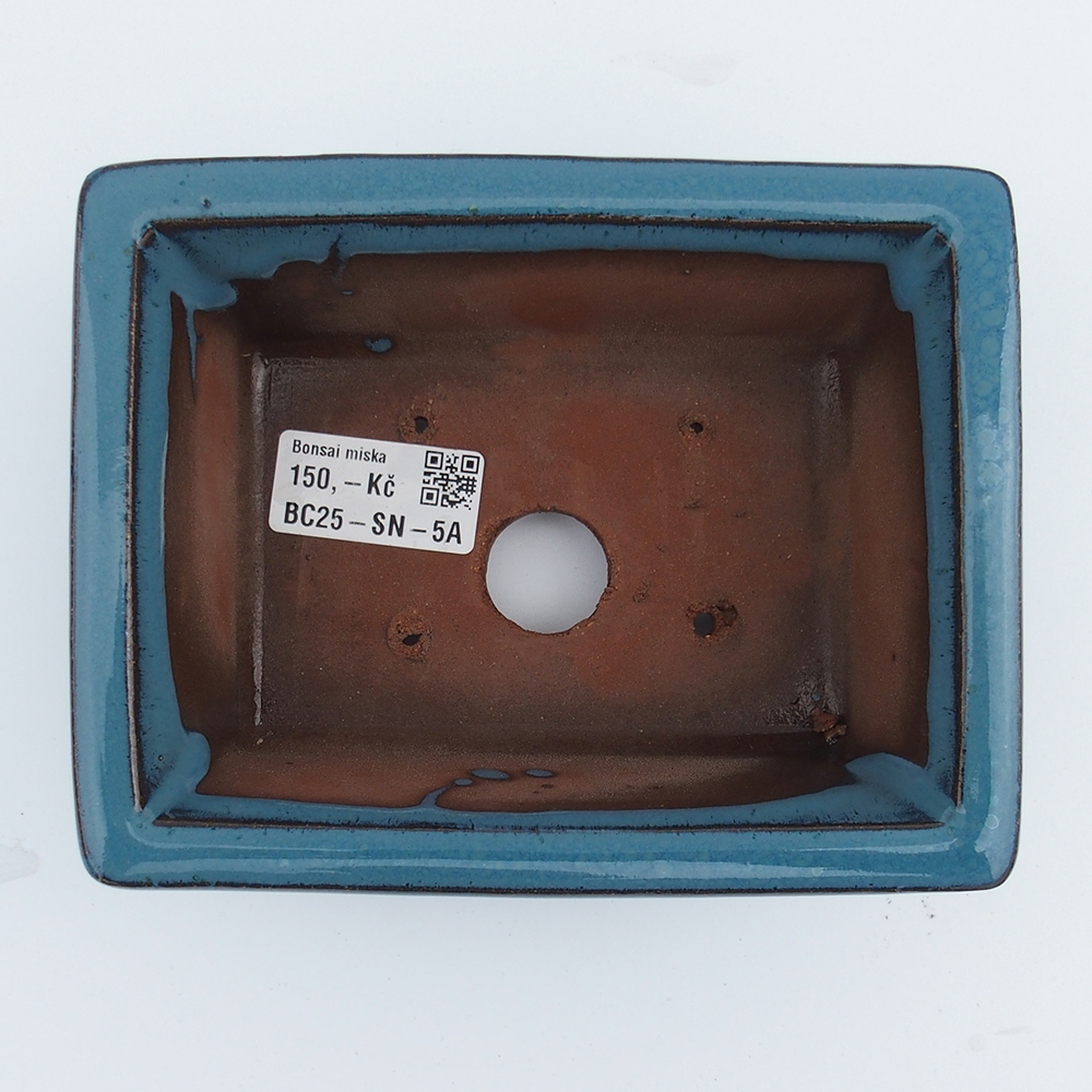 Bowl 16 x 12,5 x 6,5 cm blue