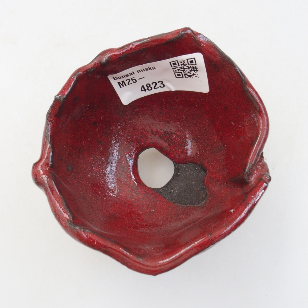 Ceramic shell 8 x 8 x 6 cm, color red