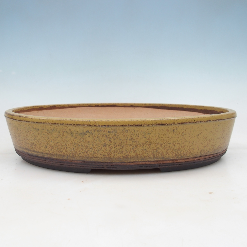 Bonsai bowl 38,5 x 31 x 7,5 cm , colour yellow