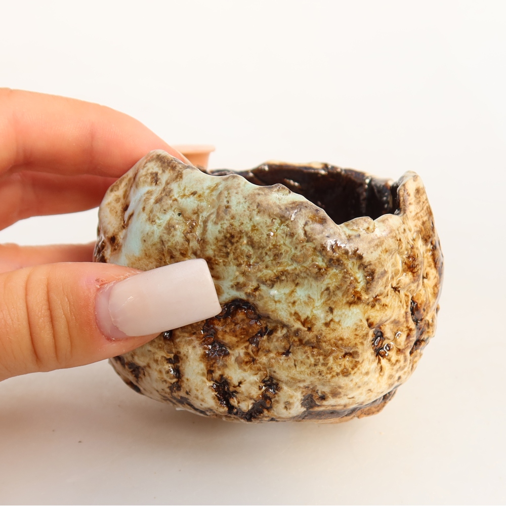 Ceramic Shell, 7.5 x 7 x 5.5 cm, white-brown