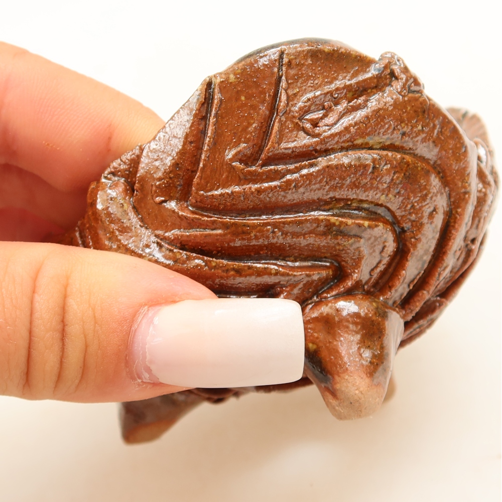 Ceramic Shell, 8 x 8 x 5 cm, brown