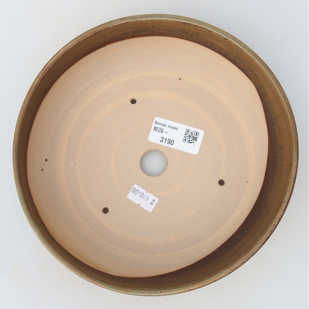 Ceramic bonsai pot, 19.5 x 19.5 x 6.5 cm, brown