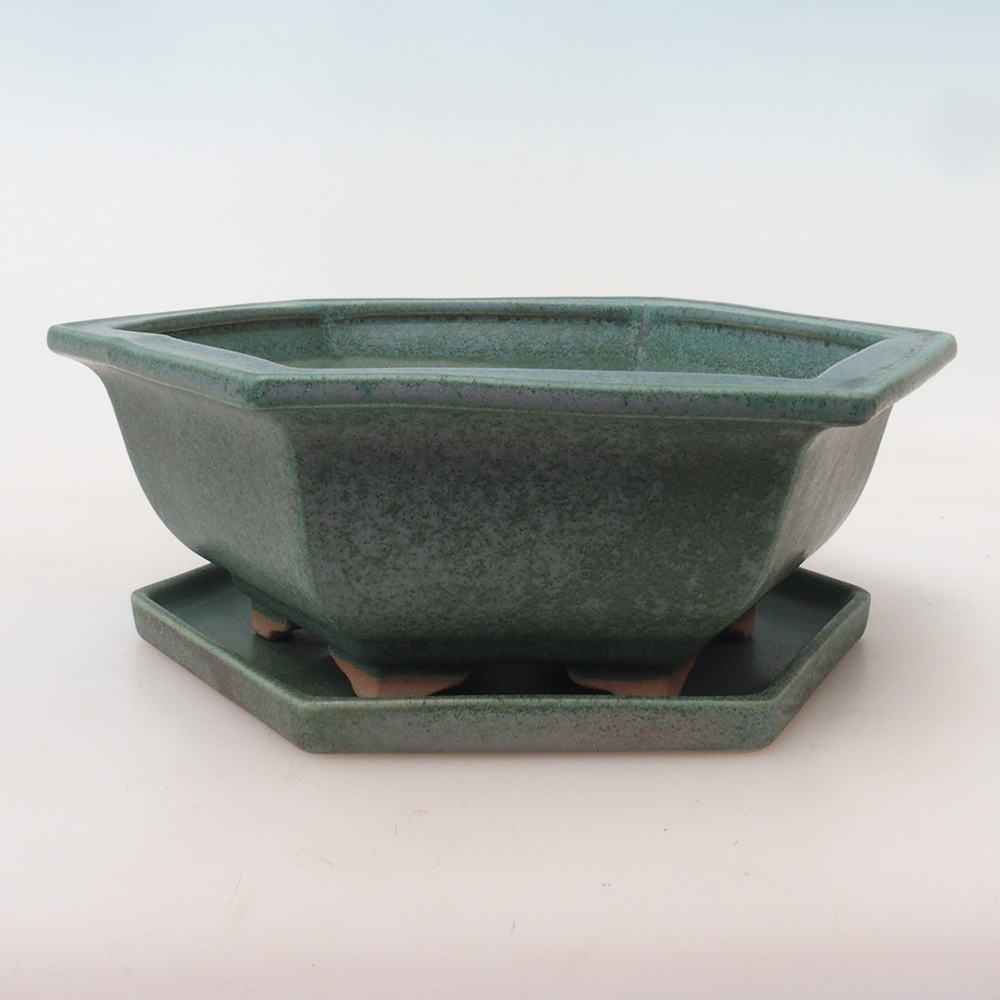 Bonsai pot + saucer H53 - 19 x 21.5 x 7 cm. - green