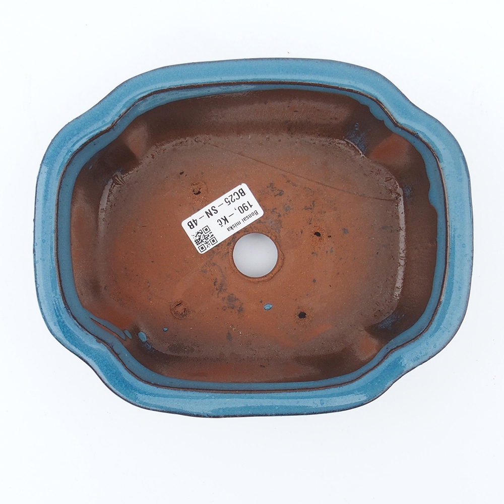 Bowl 20 x 16 x 6,5 cm blue
