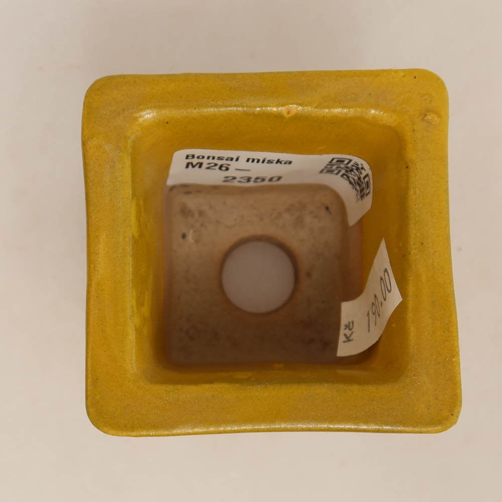 Ceramic bonsai pot, 6 x 6 x 5.5 cm, yellow