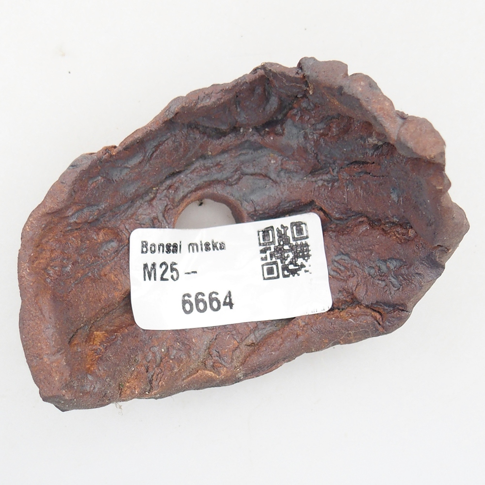 Ceramic Shell 7,5 x 5,5 x 6 cm , colour brown