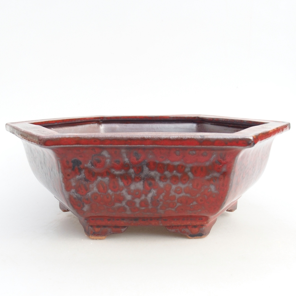 Ceramic bonsai bowl 24,5 x 20 x 4 cm, colour red