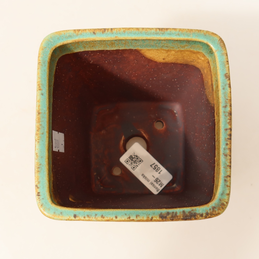 Ceramic bonsai pot, 10.5 x 10.5 x 12 cm, green
