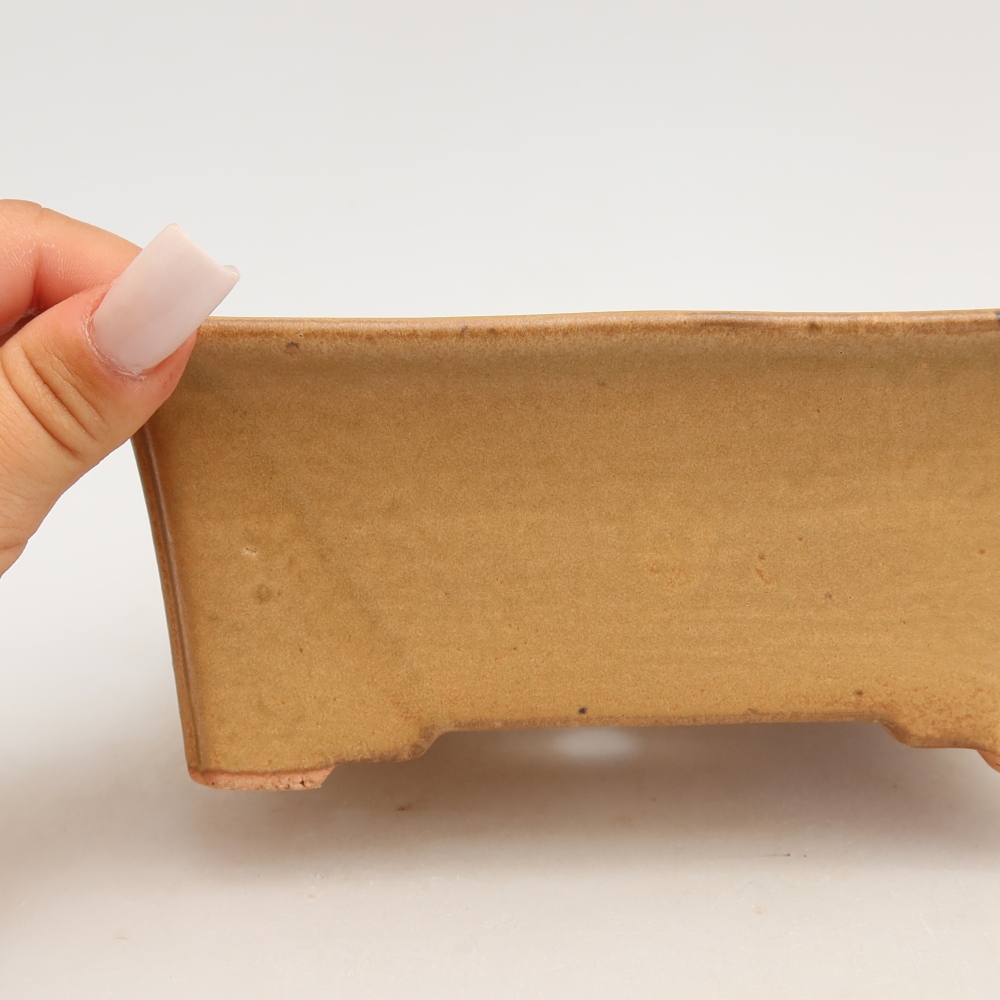 Ceramic bonsai bowl 18 x 14 x 7 cm, colour beige