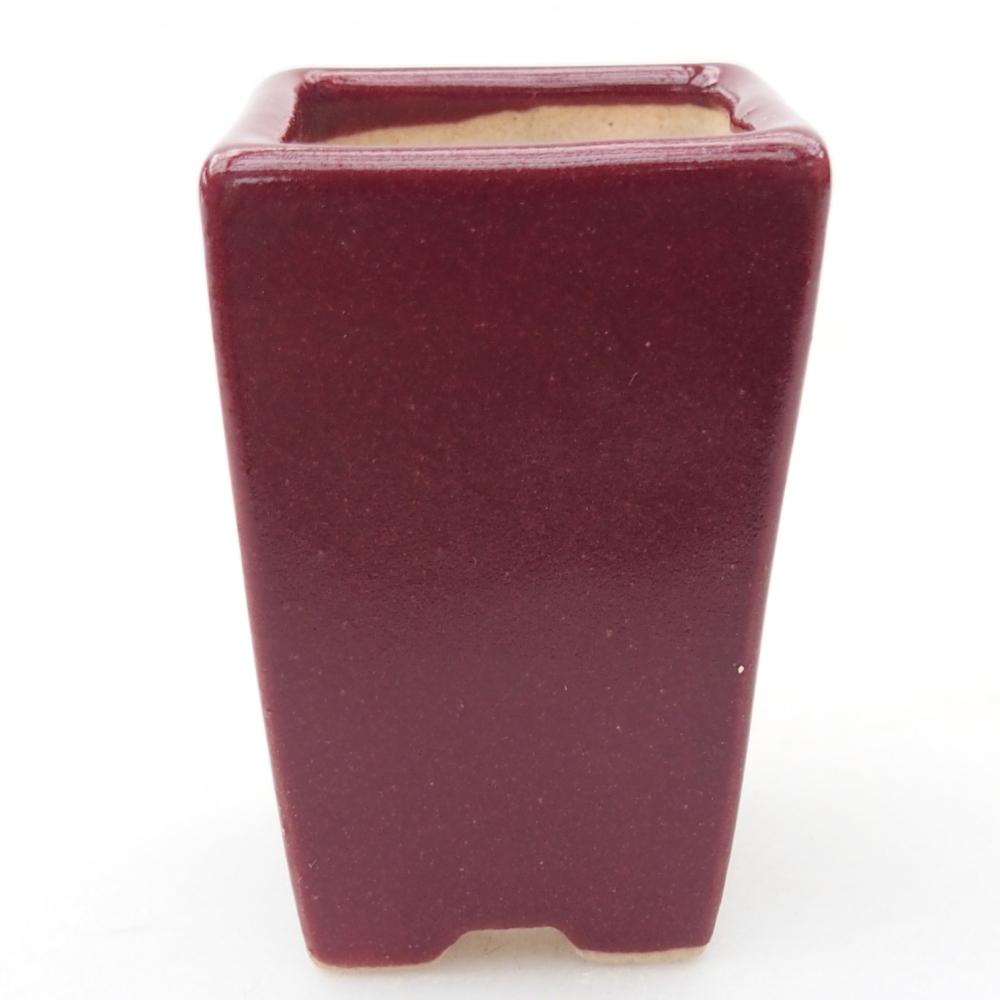 Mini bonsai bowl 3,5 x 3,5 x 5 cm, colour burgundy