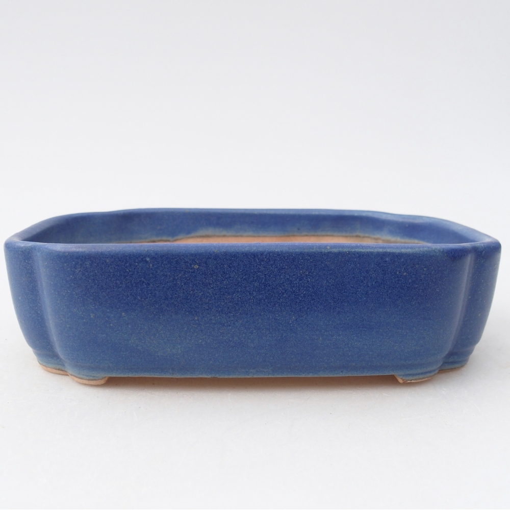 Ceramic bonsai bowl 16 x 11,5 x 4 cm, colour blue