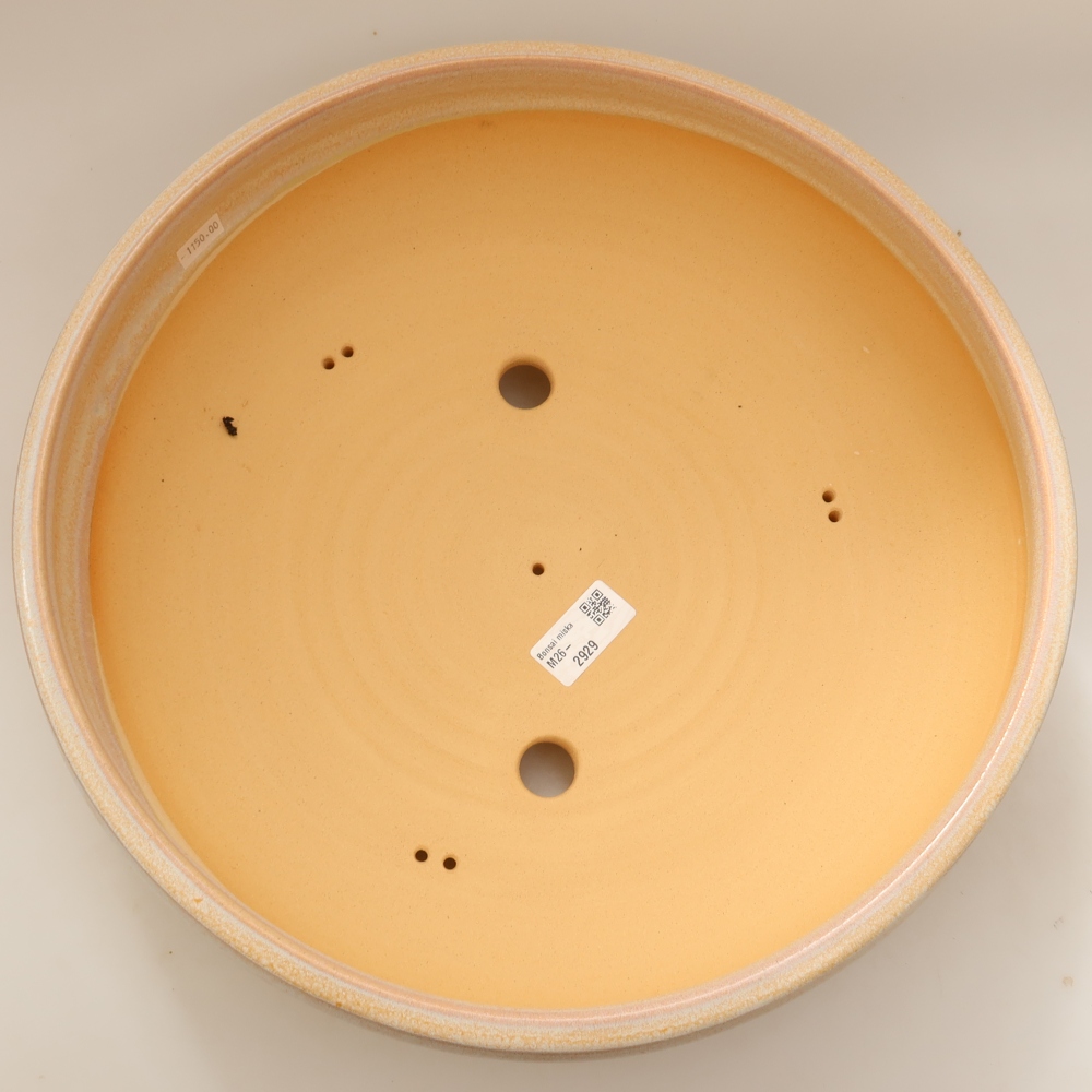 Ceramic bonsai pot, 35 x 35 x 11 cm, beige - IN-STORE PICKUP ONLY or pallet shipping