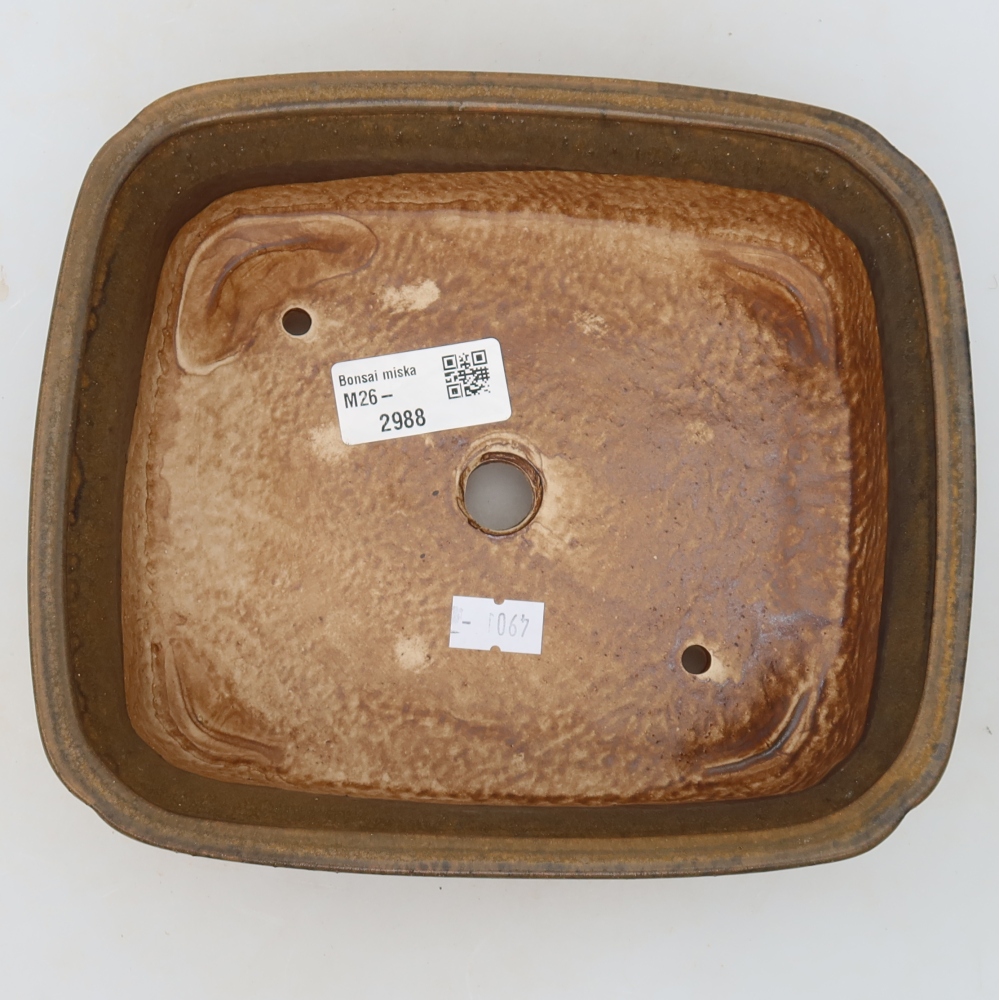Ceramic bonsai pot, 20 x 17.5 x 6 cm, brown