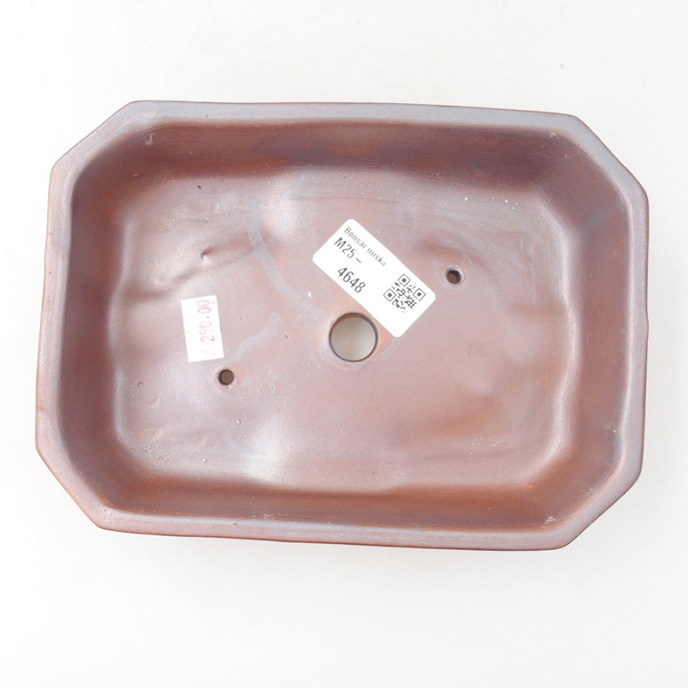 Ceramic bonsai bowl 18 x 13,5 x 5 cm, color brown