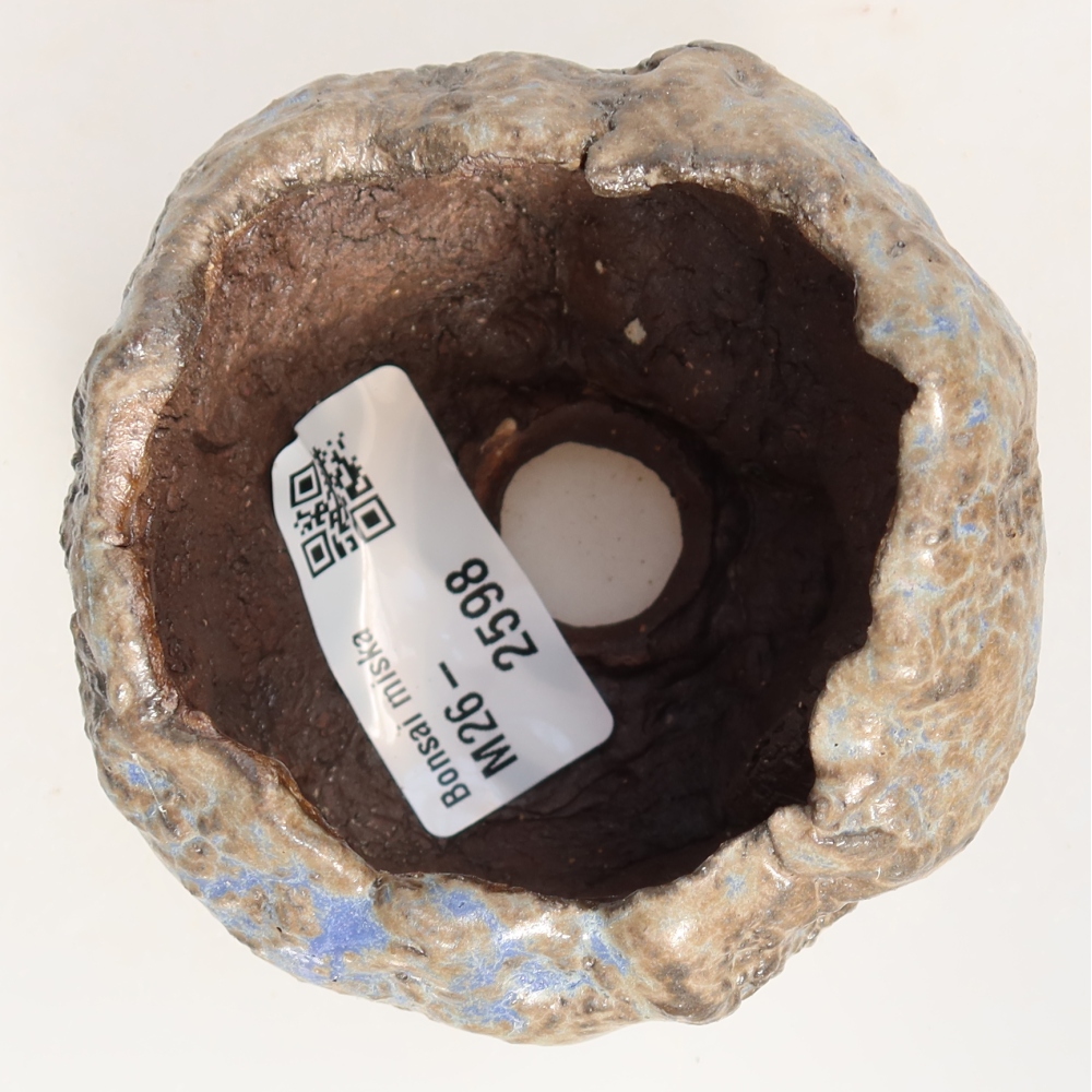 Ceramic Shell, 7 x 7 x 6 cm, blue-brown