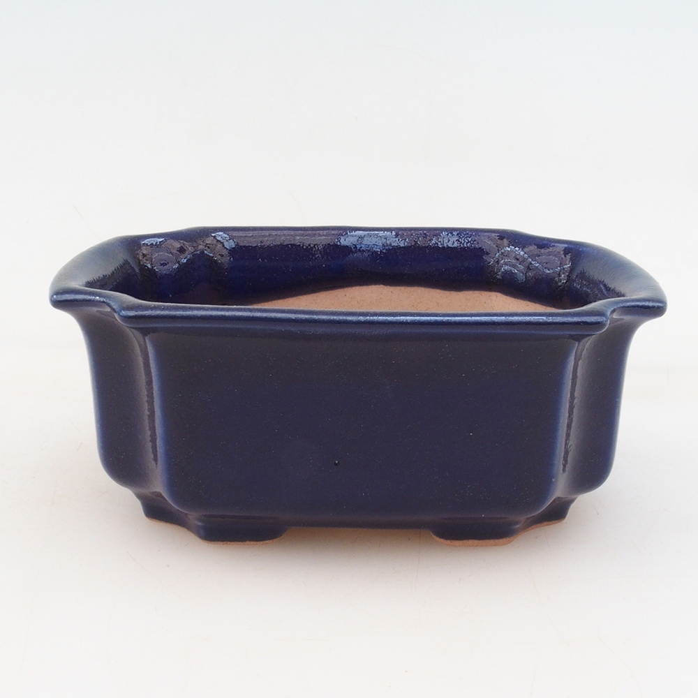 Bonsai bowl + bowl H01 - blue