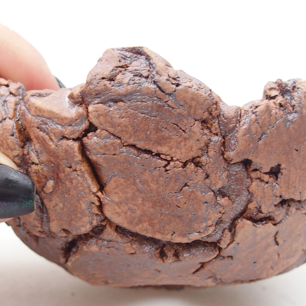 Ceramic Shell 9 x 9 x 5,5 cm , colour brown