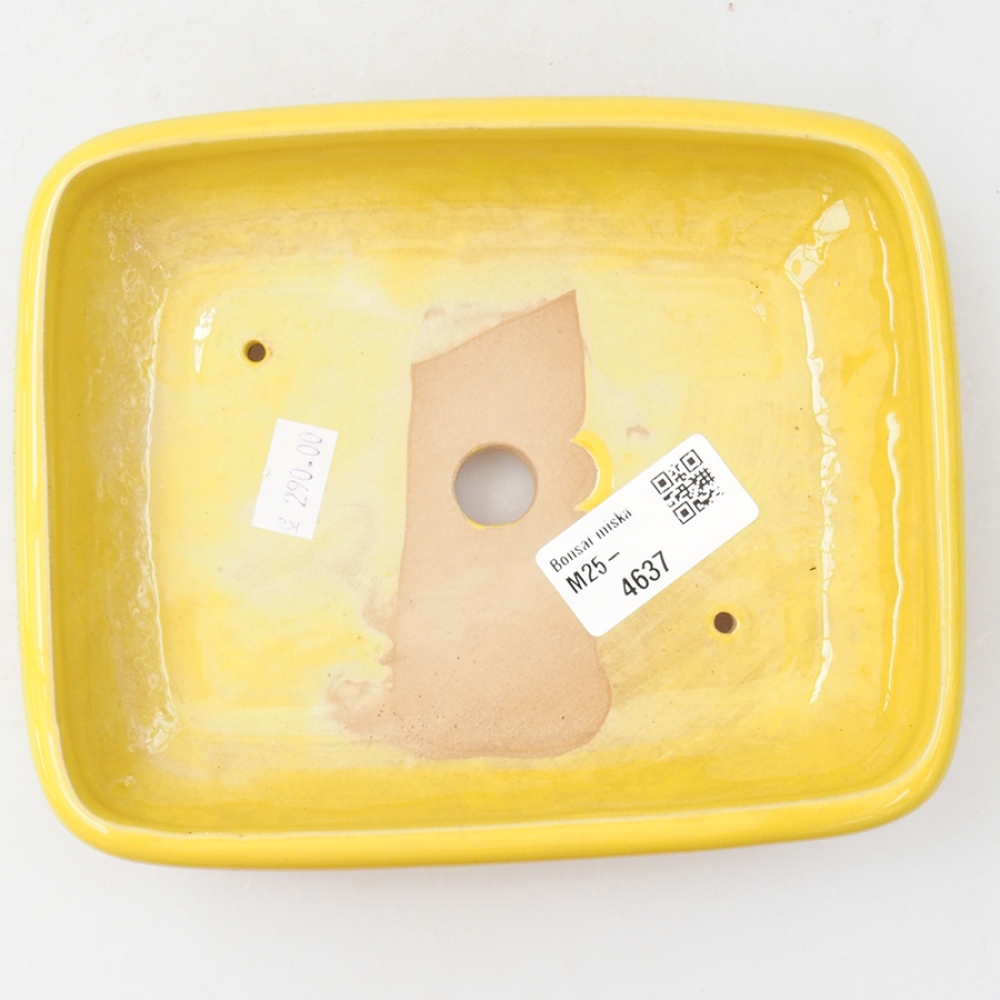 Ceramic bonsai bowl 17 x 13,5 x 3,5 cm, color yellow