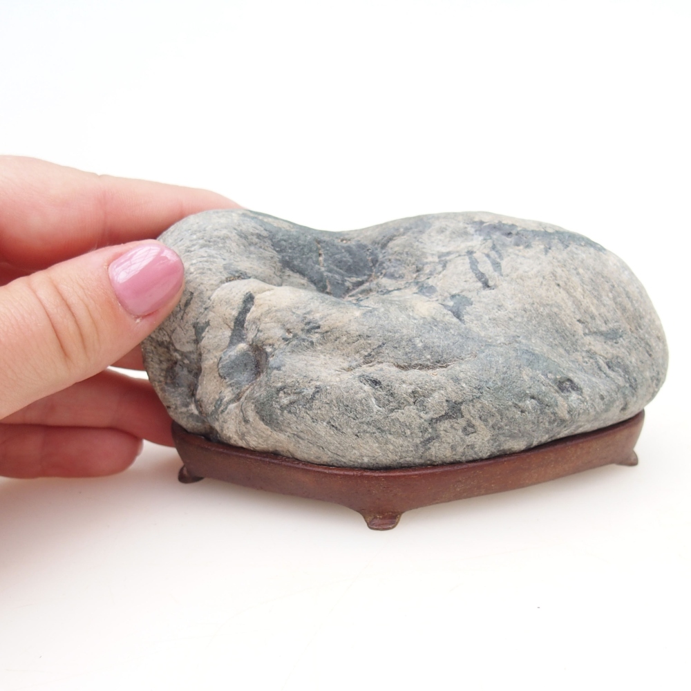 Suiseki - Stone with DAI (wooden pad)