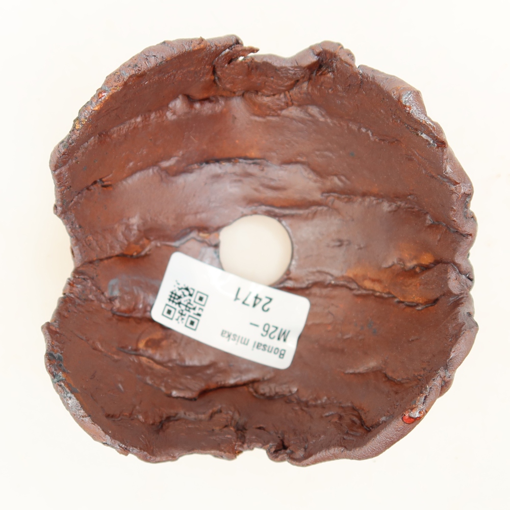 Ceramic Shell  10 x 9.5 x 6.5 cm, metallic color