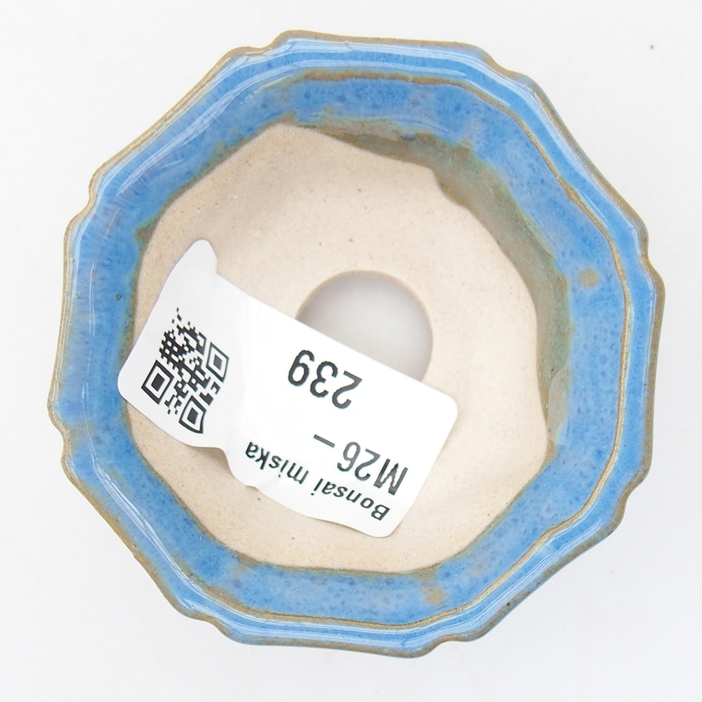 Mini bonsai bowl 6 x 6 x 2,5 cm, colour blue