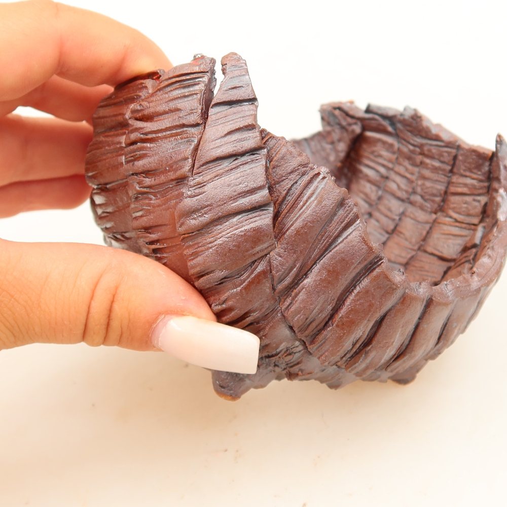 Ceramic Shell, 9.5 x 9.5 x 7 cm, brown