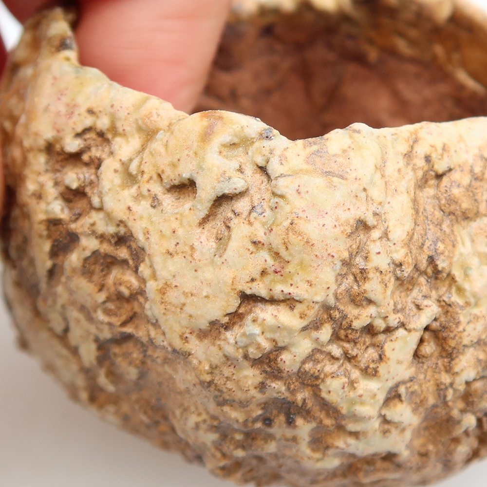 Ceramic Shell, 5.5 x 5.5 x 5 cm, brown