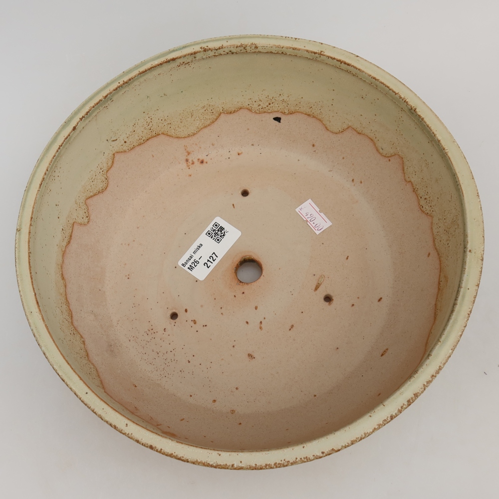 Ceramic bonsai pot, 24.5 x 24.5 x 7.5 cm, green