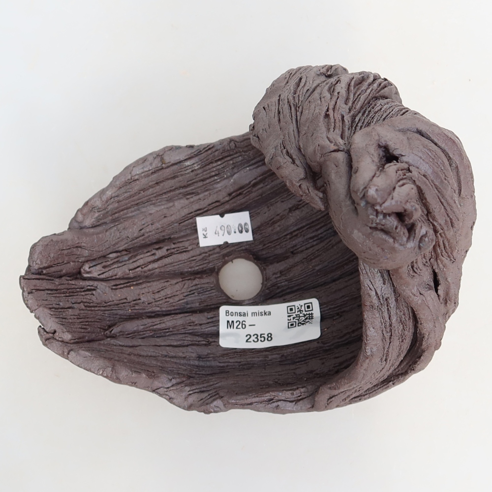 Ceramic Shell  14.5 x 11.5 x 20 cm, brown