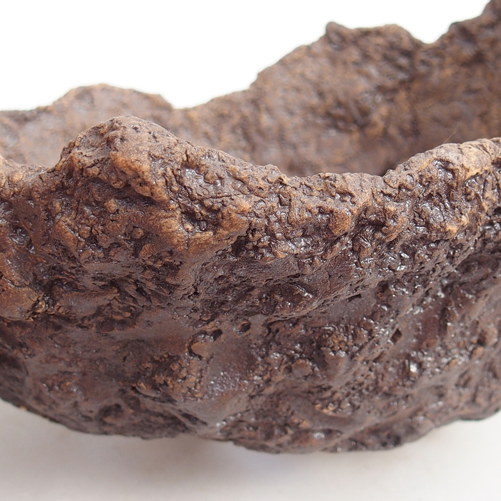 Ceramic shell 19 x 15 x 14 cm , colour brown