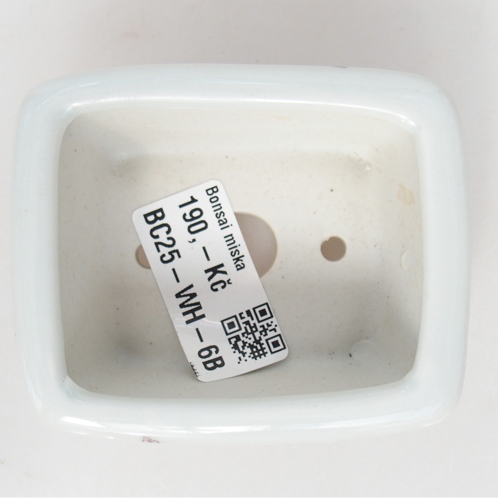 Mini bonsai bowl 8 x 6,5 x 3,5 cm, white