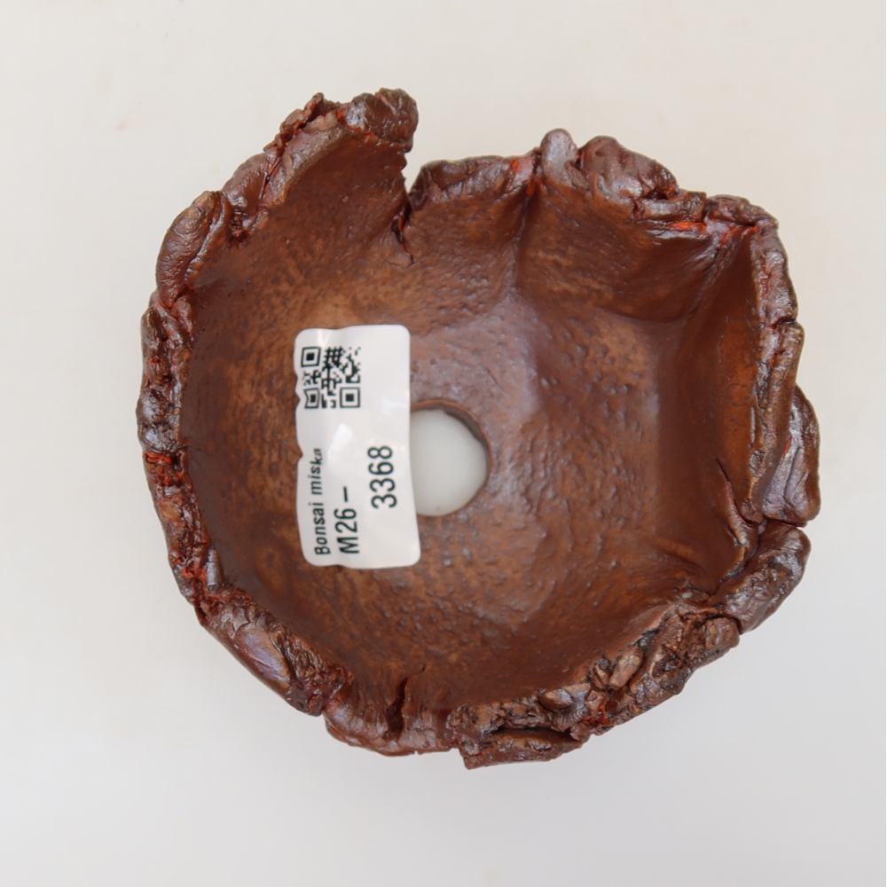Ceramic Shell, 9.5 x 9 x 6 cm, brown