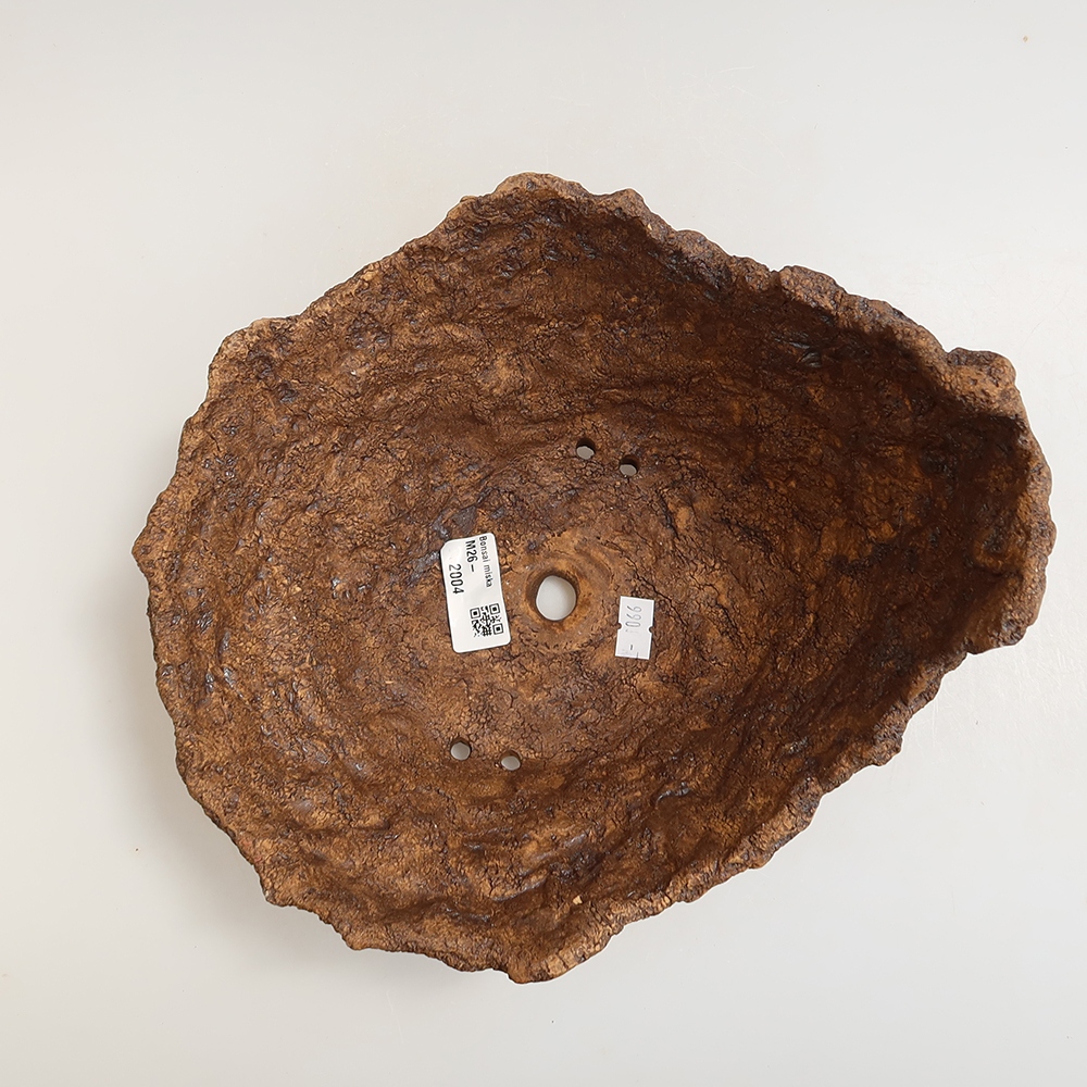 Ceramic Shell, 22 x 20 x 16.5 cm, brown