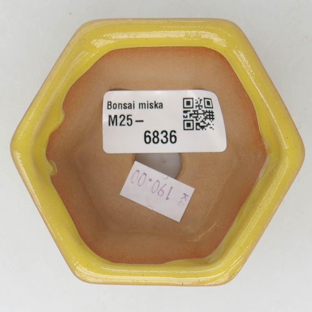 Ceramic bonsai bowl 7,5 x 7 x 4 cm, yellow