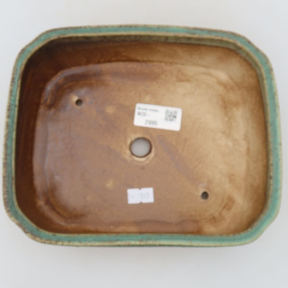 Ceramic bonsai pot, 21.5 x 18 x 6 cm, green
