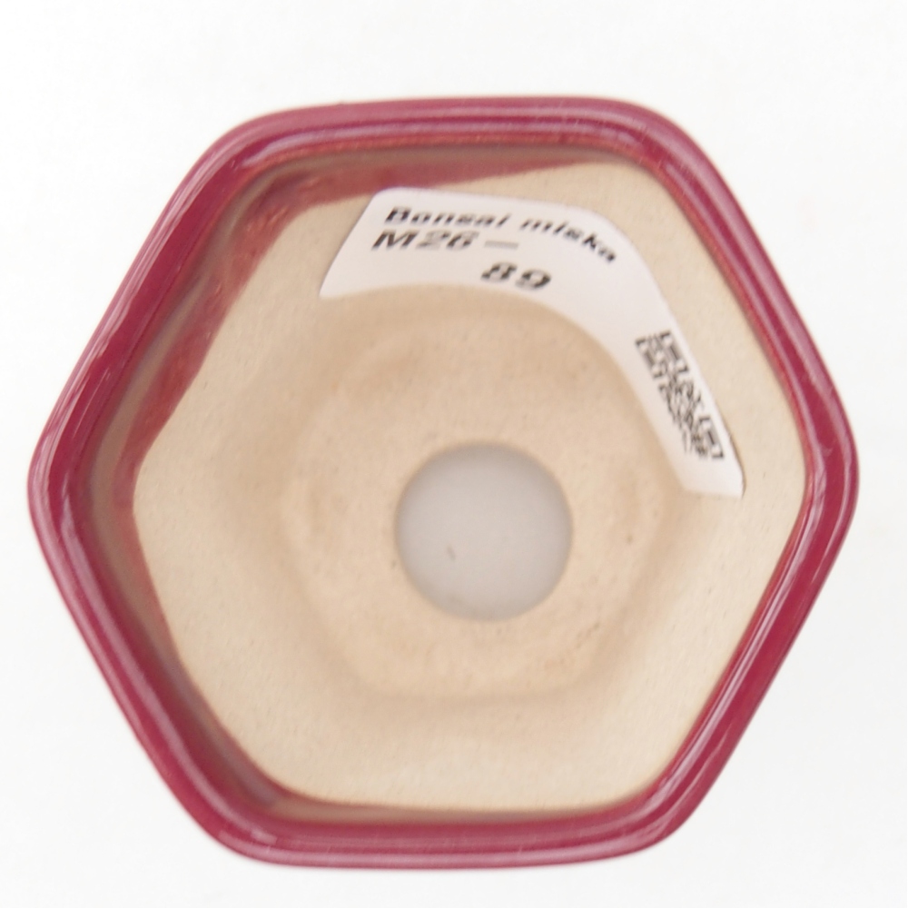 Mini bonsai bowl 5,5 x 5 x 5 cm, colour burgundy