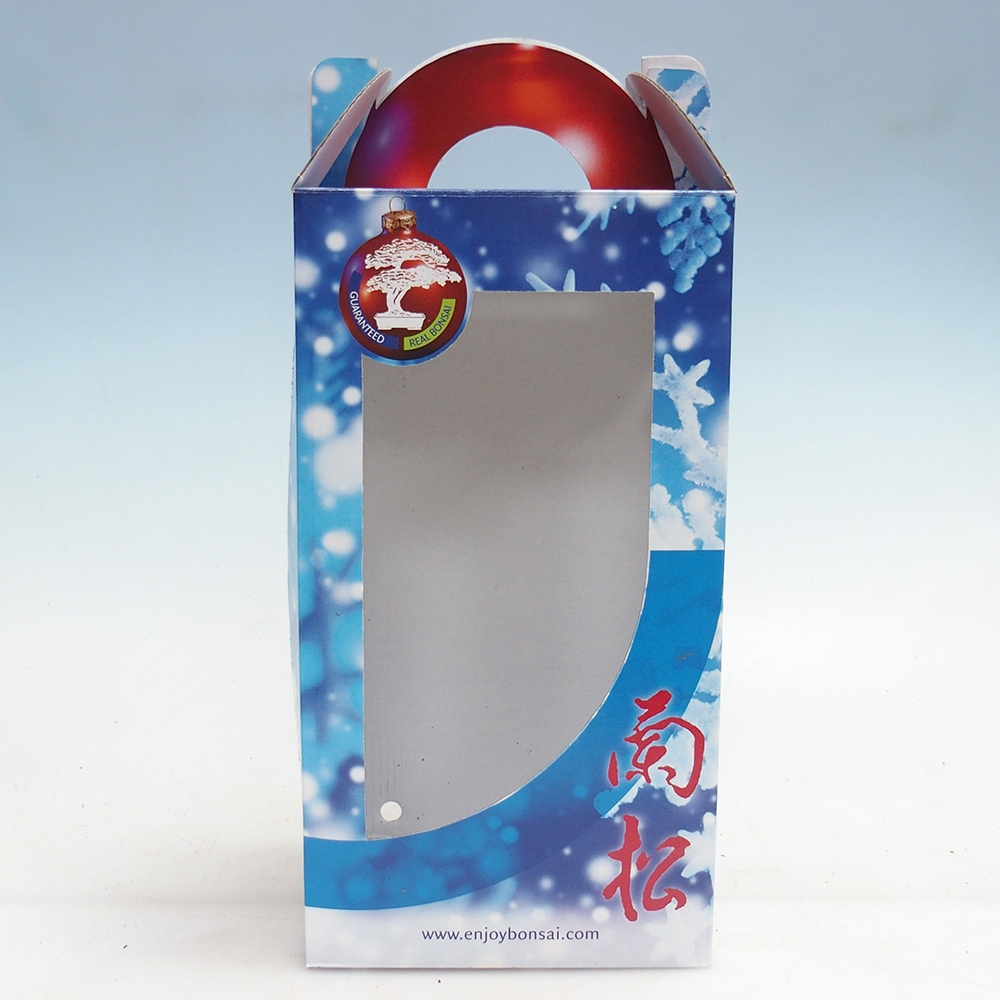 Gift bonsai box - paper