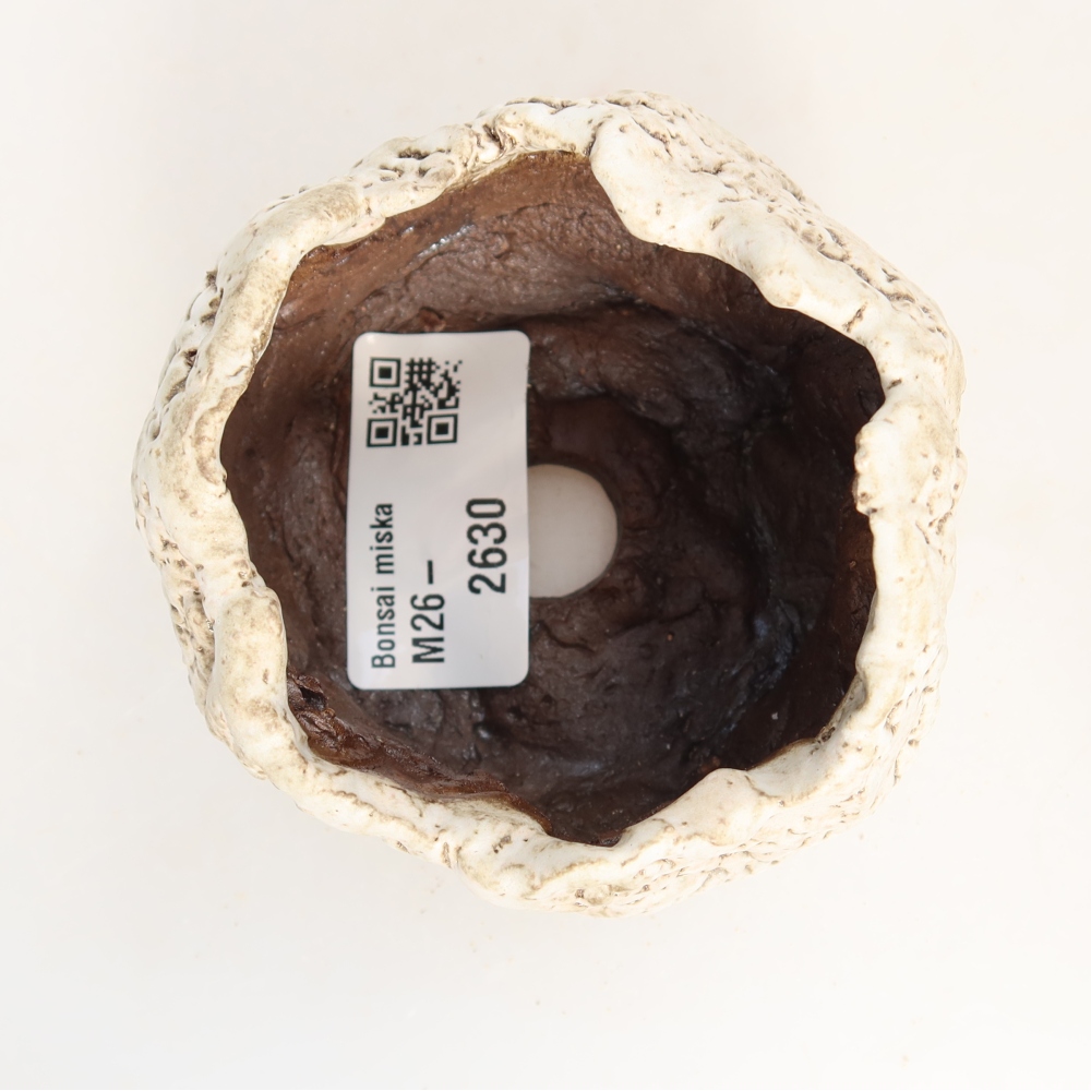 Ceramic Shell, 7 x 7 x 6 cm, white