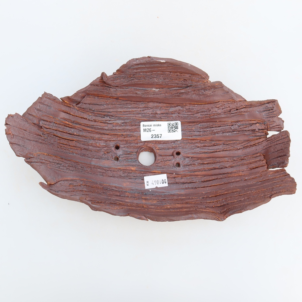 Ceramic Shell  24.5 x 14.5 x 7.5 cm, brown