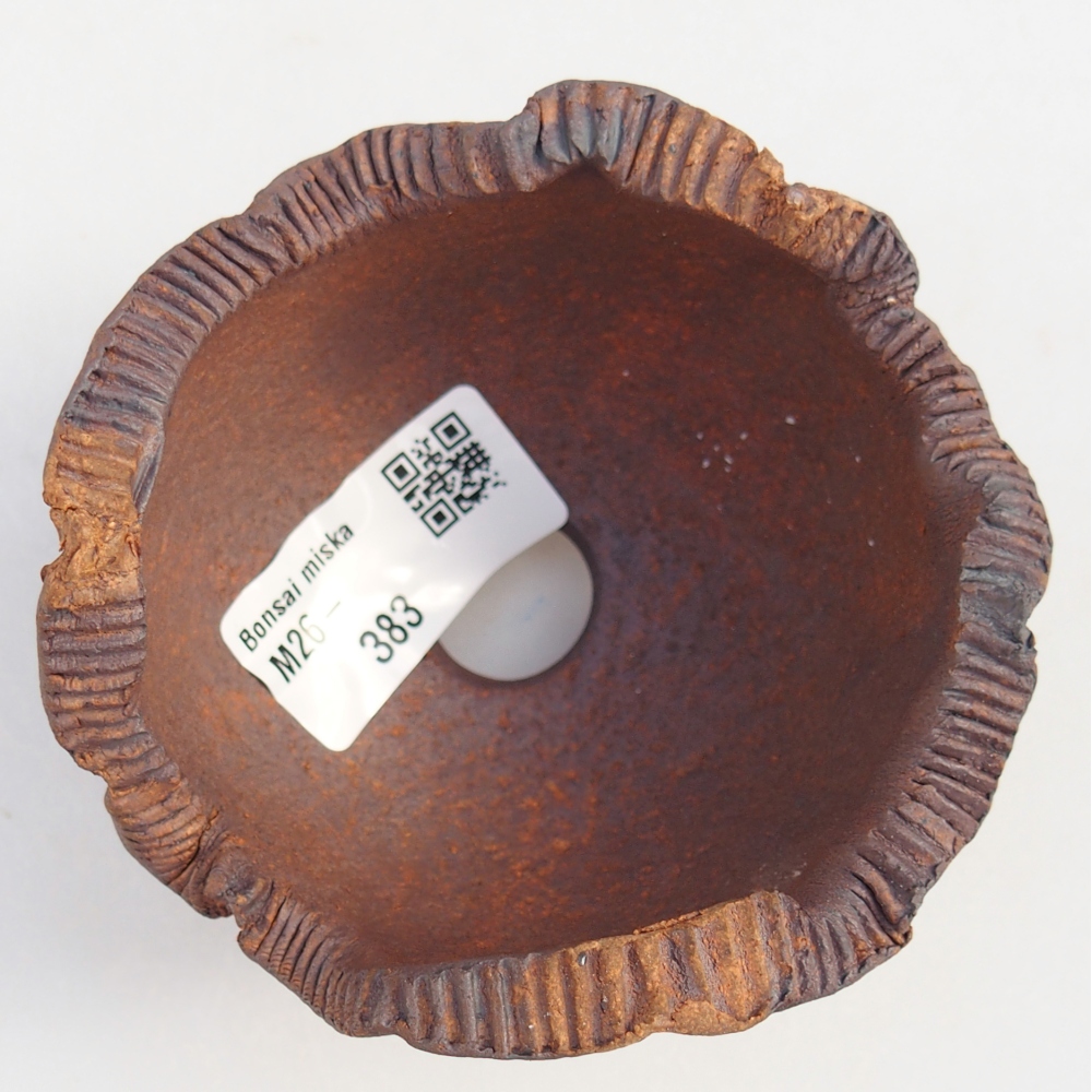 Ceramic Shell 9 x 9 x 7 cm , colour brown