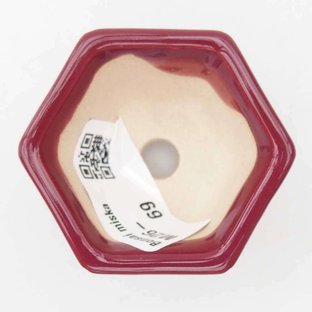 Mini bonsai bowl 5 x 4,5 x 3 cm, burgundy