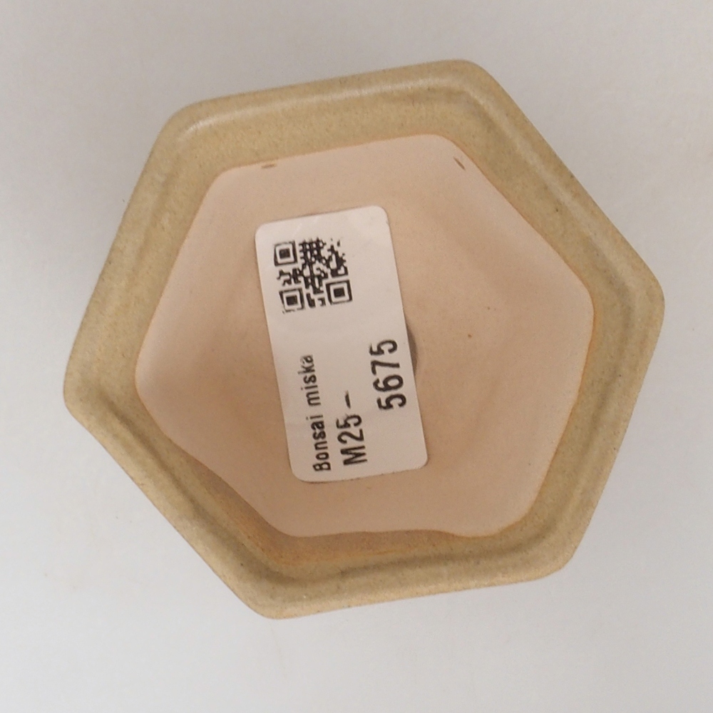 Mini bonsai bowl 7 x 7 x 5 cm, color brown
