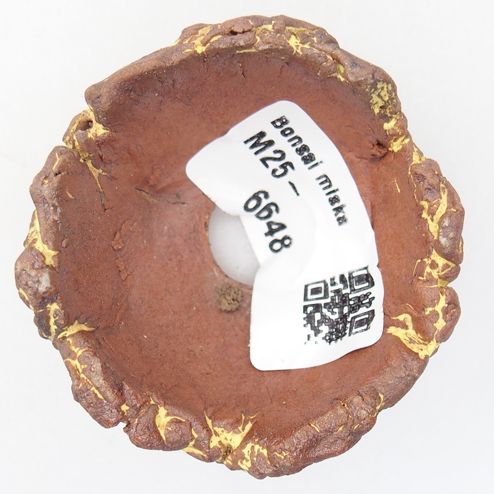 Ceramic Shell 5,5 x 5 x 4 cm , colour yellow